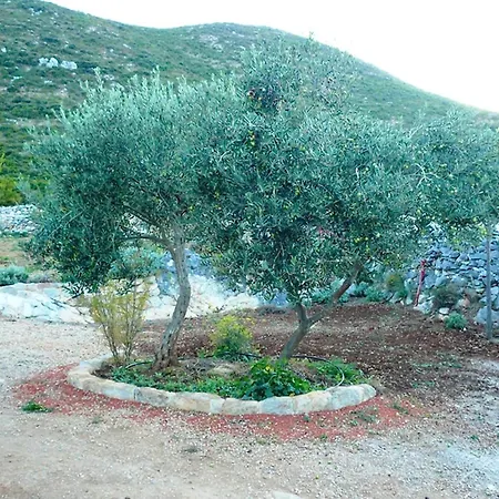 Lavender Cottage-two Bedroom With Terrace