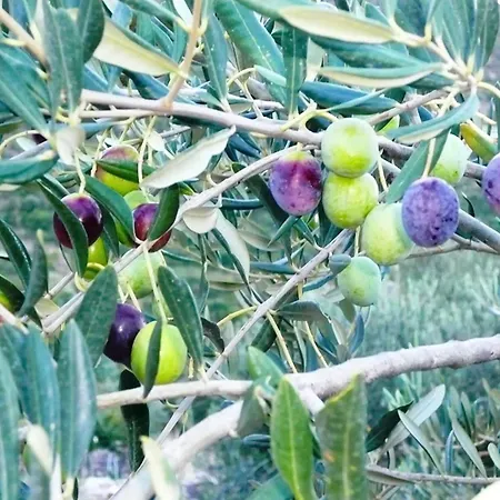 Ferienhaus Lavender Cottage-two Bedroom With Terrace